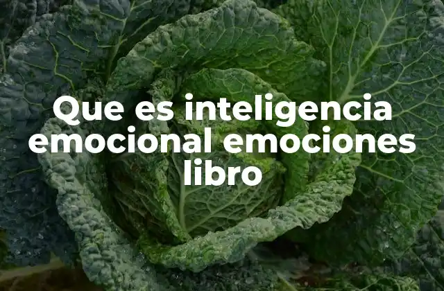 Que es Inteligencia Emocional Emociones Libro