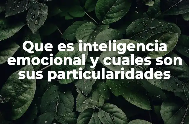 Que es Inteligencia Emocional y Cuales Son Sus Particularidades