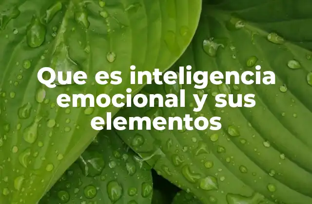 Que es Inteligencia Emocional y Sus Elementos