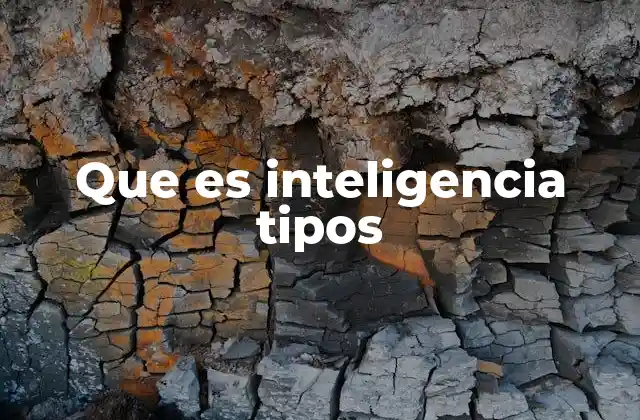 Que es Inteligencia Tipos