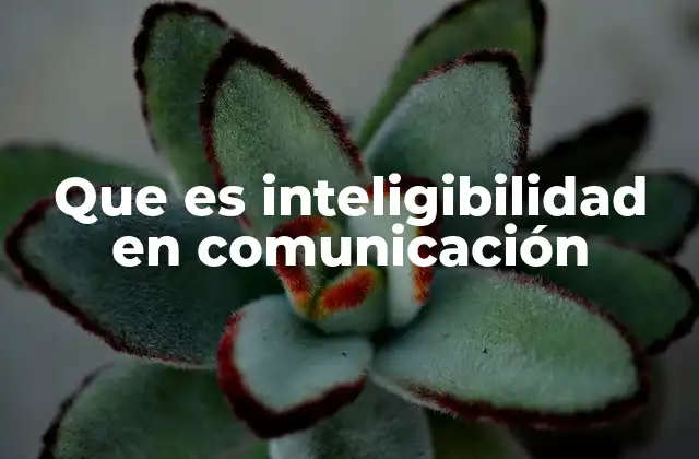 Que es Inteligibilidad en Comunicación