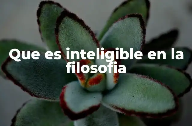 Que es Inteligible en la Filosofia