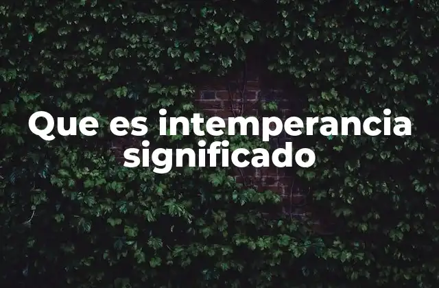 Que es Intemperancia Significado