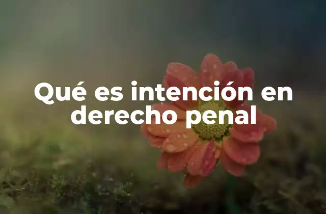Qué es Intención en Derecho Penal