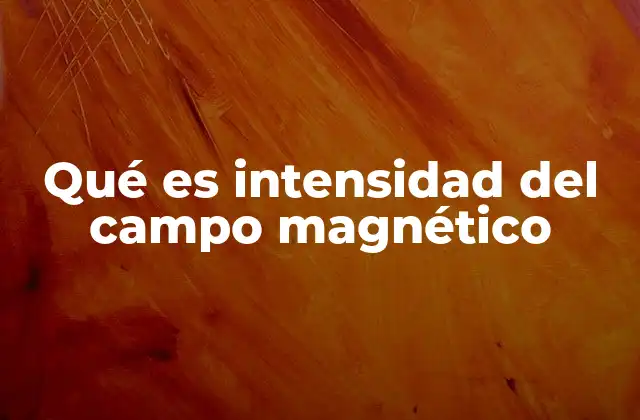 Qué es Intensidad Del Campo Magnético