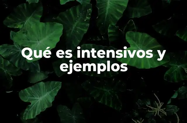 Qué es Intensivos y Ejemplos