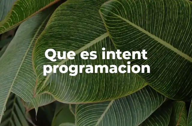 Que es Intent Programacion 2 La base del flujo de navegación en aplicaciones móviles