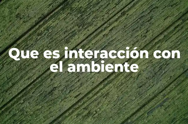 Que es Interacción con el Ambiente