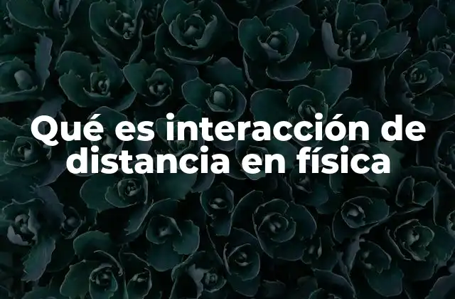 Qué es Interacción de Distancia en Física