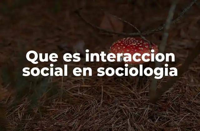 Que es Interaccion Social en Sociologia