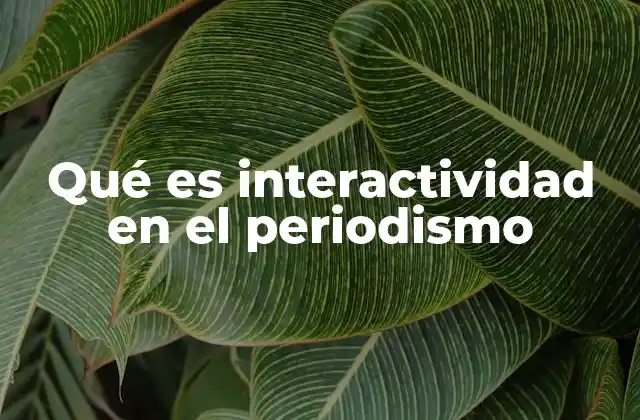 Qué es Interactividad en el Periodismo