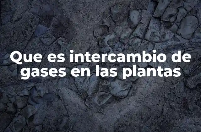 Que es Intercambio de Gases en las Plantas