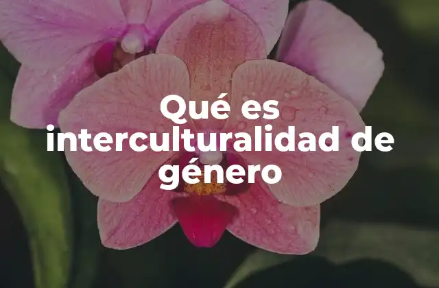 Qué es Interculturalidad de Género