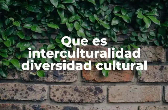 Que es Interculturalidad Diversidad Cultural