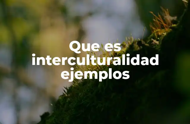 El intercambio cultural como base de la interculturalidad