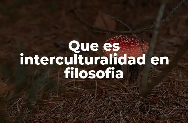 Que es Interculturalidad en Filosofia