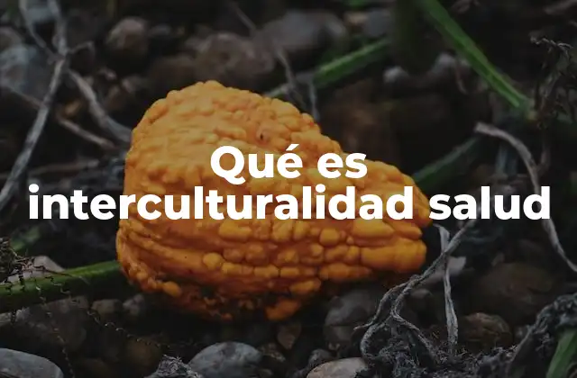 Qué es Interculturalidad Salud