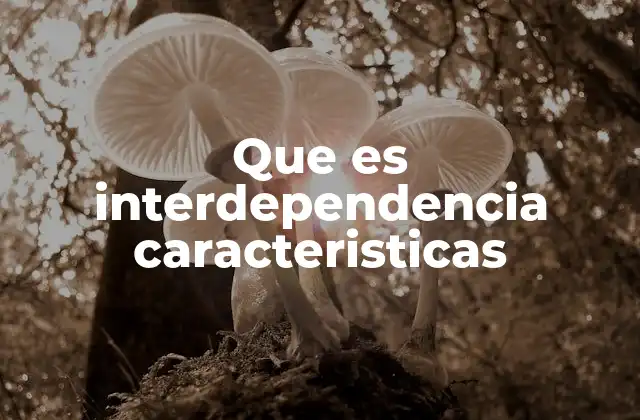 Que es Interdependencia Caracteristicas