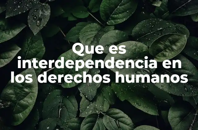 Que es Interdependencia en los Derechos Humanos