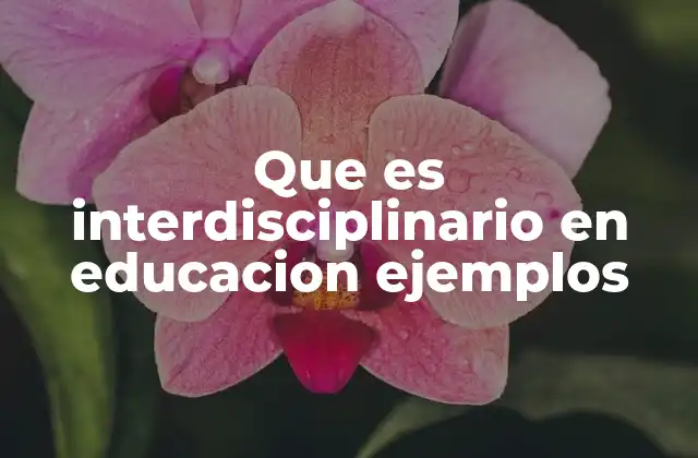 Que es Interdisciplinario en Educacion Ejemplos