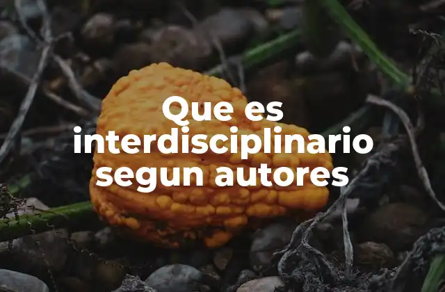 Que es Interdisciplinario Segun Autores