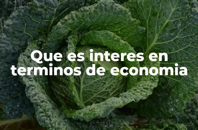 Que es Interes en Terminos de Economia