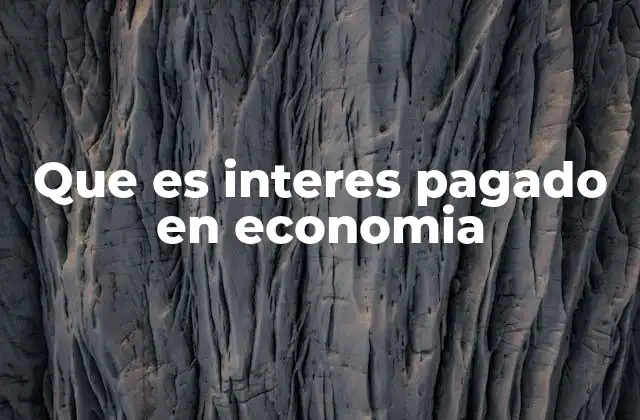 Que es Interes Pagado en Economia
