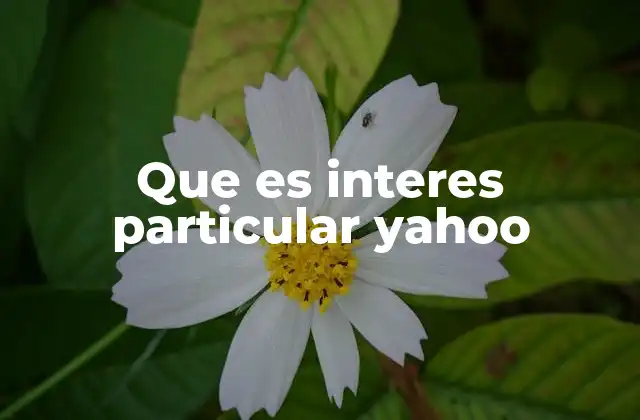 Que es Interes Particular Yahoo 2 Cómo Yahoo adapta el contenido basado en los intereses del usuario