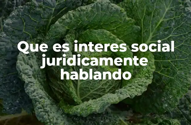 Que es Interes Social Juridicamente Hablando