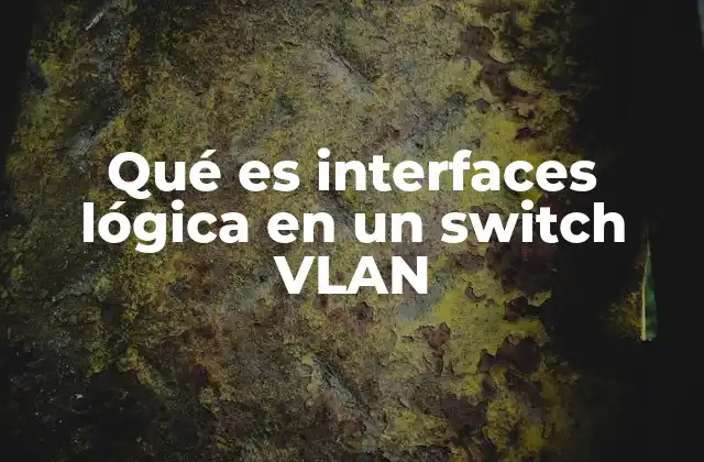 Qué es Interfaces Lógica en un Switch Vlan