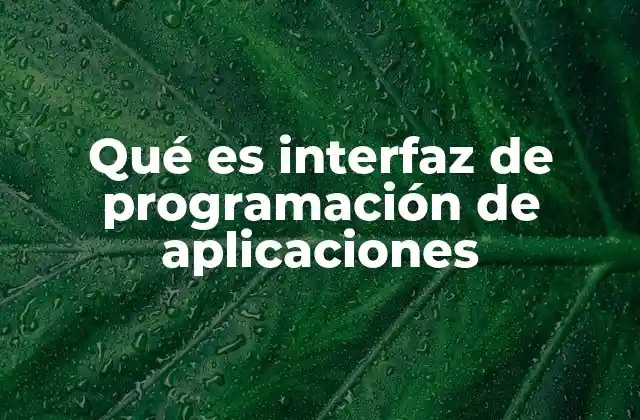 Qué es Interfaz de Programación de Aplicaciones
