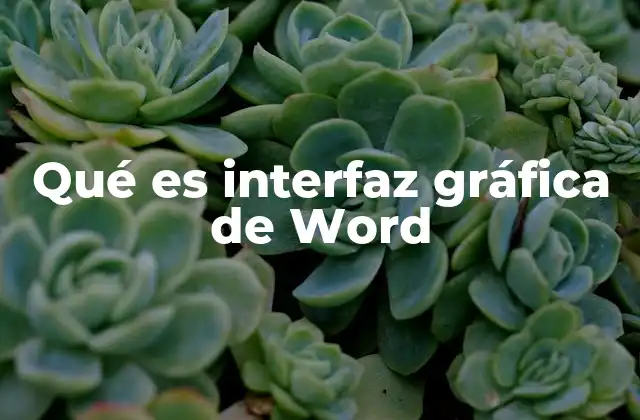 Componentes visuales que forman parte de la interfaz de Word