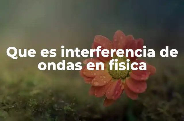 Que es Interferencia de Ondas en Fisica