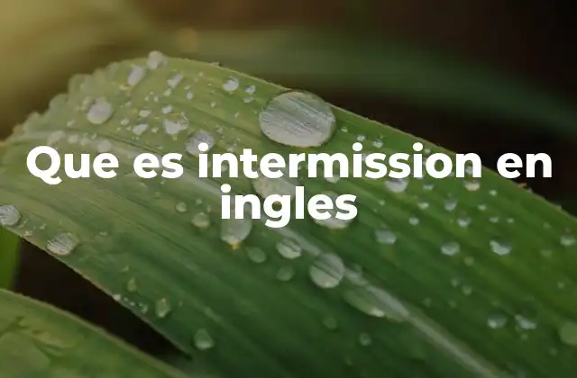 Que es Intermission en Ingles