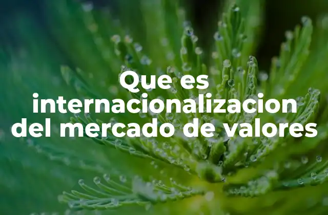 Que es Internacionalizacion Del Mercado de Valores