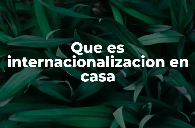 Que es Internacionalizacion en Casa