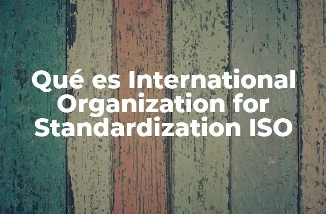 Qué es International Organization For Standardization Iso