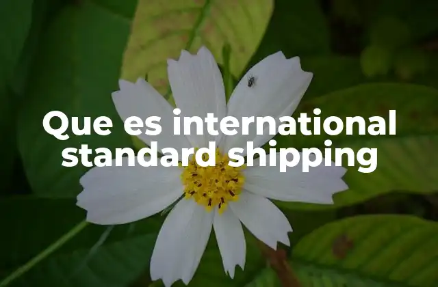 Que es International Standard Shipping