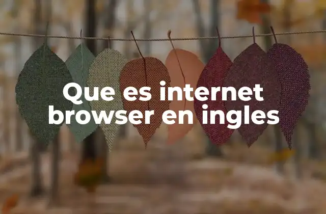 Que es Internet Browser en Ingles