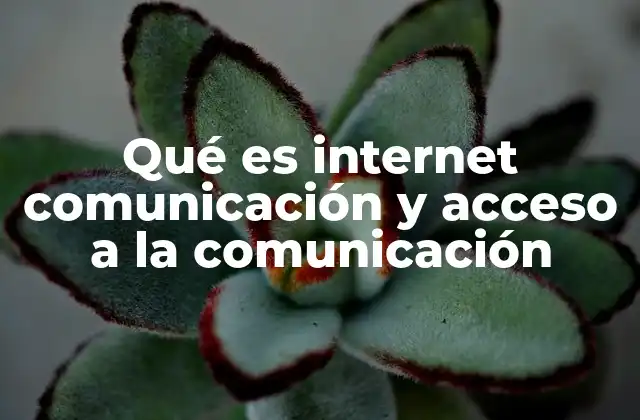 Qué es Internet Comunicación y Acceso a la Comunicación