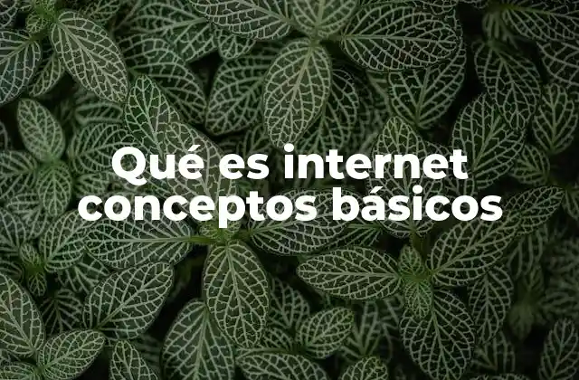 Qué es Internet Conceptos Básicos 2 La evolución de la conectividad digital