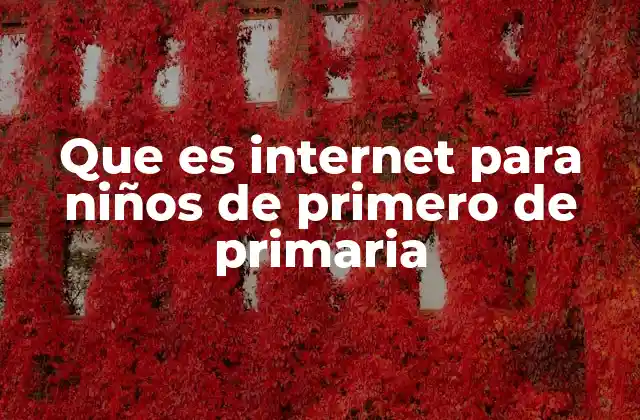 Que es Internet para Niños de Primero de Primaria