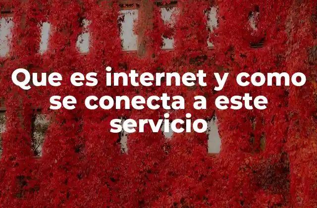 Que es Internet y como Se Conecta a Este Servicio