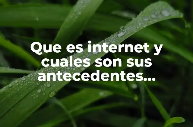 Que es Internet y Cuales Son Sus Antecedentes Historicos