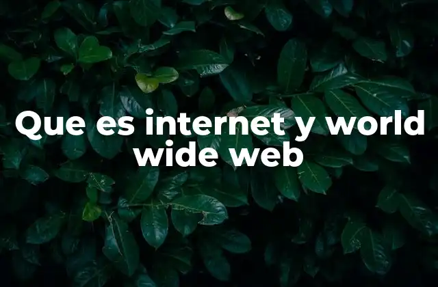 Que es Internet y World Wide Web