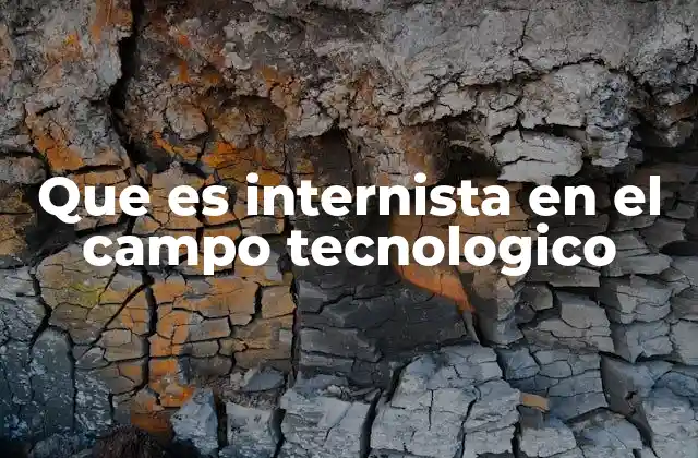 Que es Internista en el Campo Tecnologico