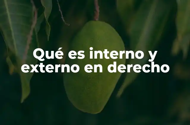 Qué es Interno y Externo en Derecho