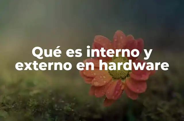 Qué es Interno y Externo en Hardware