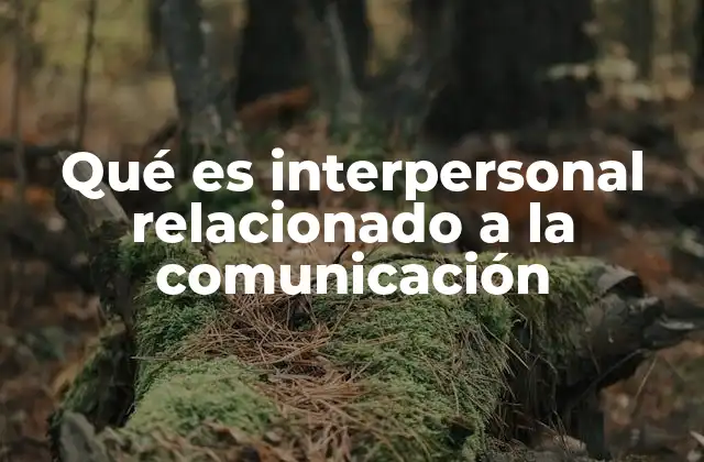 Qué es Interpersonal Relacionado a la Comunicación
