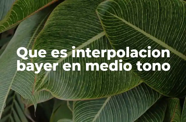 Que es Interpolacion Bayer en Medio Tono